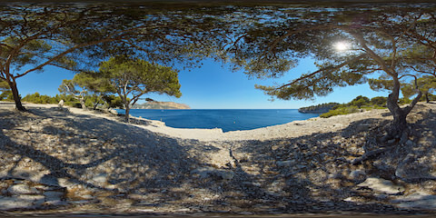 Peaceful Resting Place Under Pine Trees Overlooking The Ocean