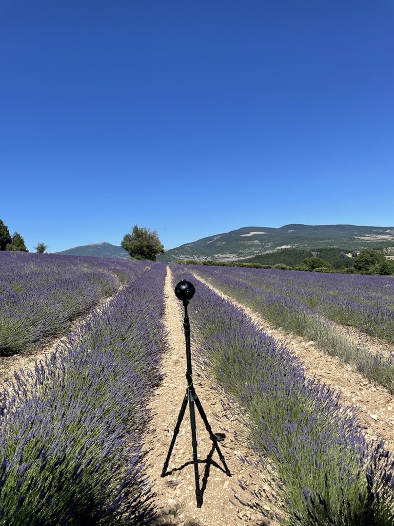 A 360° camera on a tripod stands alone between rows of blooming lavender, mountains and pine forest visible in the background